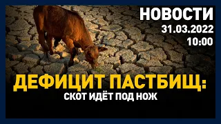 Выпуск новостей 10:00 от 31.03.2022