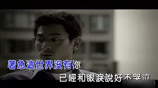 劉德華 練習