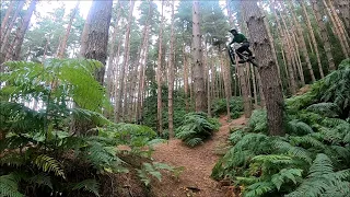 2021 MEGAMIX - HARDCORE HARDTAIL DH / FREERIDE MTB :D