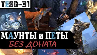 Все БЕСПЛАТНЫЕ маунты и петы в Elder Scrolls Online. Ездовые и декоративные питомцы. TESO(2020)