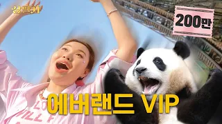 What are the benefits of Everland VIP? {Everland VIP} | Sangpalja ep.5