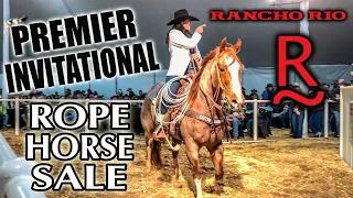 THE LAST HORSE SALE IN WICKENBURG ARIZONA