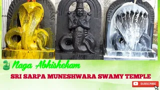 NAGA ABHISHEKAM || POOJA TO NAGA STONE (SNAKE) || SRI SARPA MUNESHWARA SWAMY TEMPLE