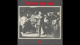 Radio Birdman - Burned My Eye (1976)