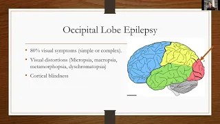 Understanding and Treating Epilepsy