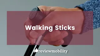 All about Walking Sticks