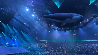 Phish - Waves, Whale & Dolphins… Happy New Year 2022… 04/22/22 - MSG, NYC