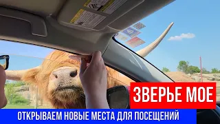 🔴ЗВЕРЬЕ МОЕ 🔴ОТКРЫВАЕМ НОВЫЕ МЕСТА ДЛЯ ПОСЕЩЕНИЙ