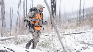 Great Hunt Series : Mountain Whitetail With the  S20 Hunter