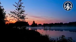 Singing of forest birds with cicadas at the night lake. Perfect for sleeping!