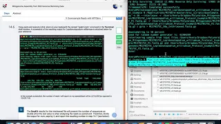 V. Downsample Reads with MITObim [Mitogenome Assembly from NGS Genome Skimming Data]