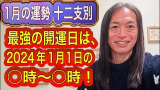 2024年1月1日の◯時〜◯時に◯◯すると、最強に運気がアップ！　1月の運勢 十二支別 タロット占いも！