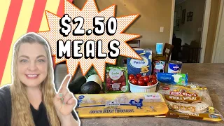 Grocery Budget Challenge 4 Simple, Easy, & Healthy Meals for 2 People | $20 Total