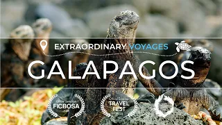 Galapagos Islands - Extraordinary Voyages - 4K