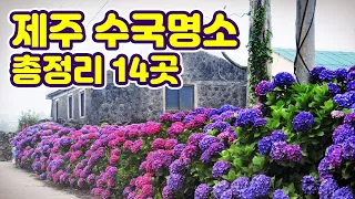 6월 7월 제주 여행으로 좋은 수국 명소 14곳 총정리!  5월 제주도 여행 부터 가볼만한곳들 입니다