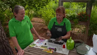 Making Wildflower Seed Bombs