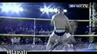 Wanderlei "The Axe Murderer" Silva Highlight