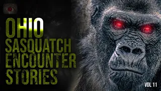 The Ohio Bigfoot | Cryptid Stories