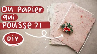 Comment faire du papier ensemencé chez soi 🌱 DIY