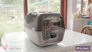 Putting your cat in a cat carrier