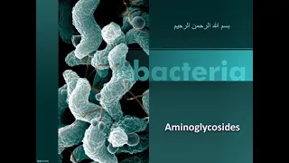 12  Aminoglycosides