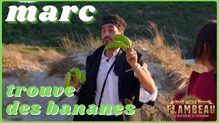 Le Flambeau Marc a trouvé des bananes  #flambeau #banane