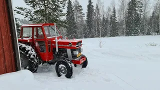 Massikka hajos/ tiistaina katolla,