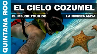 💙 El Mejor Tour desde Playa del Carmen ( El Cielo, Cozumel )