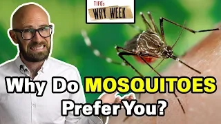 Why Week: Why are Mosquitoes More Attracted to Some People than Others?