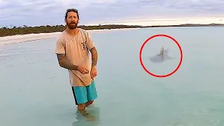 5 Scary Shark Encounters That Will Terrify You (Part 2)