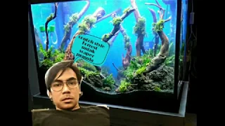 Aquascape jungle style | setup aquascape (rainforest style)