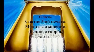 11 часть. Снятие 5-ой печати. Молитва о мшении.(Великая скорбь) Отк.6:9-11 (Для глухих)