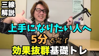 【初心者から中級者向け】弾き方や基礎練習【三線レッスン】