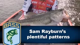 Sam Rayburn's plentiful patterns