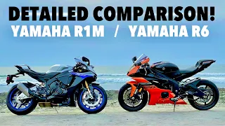 2020 Yamaha R6 -vs- 2019 Yamaha R1M Comparison (Complete Walkaround!)