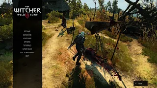 The Witcher 3 - accidental fight in slow motion