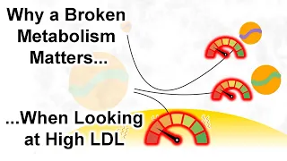 Is there something different about high LDL on Keto? Why LMHRs may have the answer.