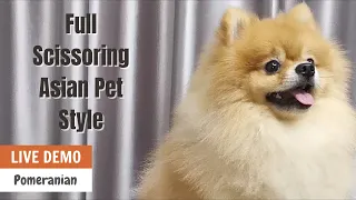 Pomeranian FULL SCISSORING Pet Style TUTORIAL | ASIAN CUTE DOGS