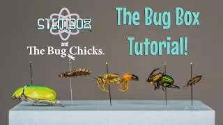 Bug Box Tutorial