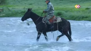 Джунгарский Алатау