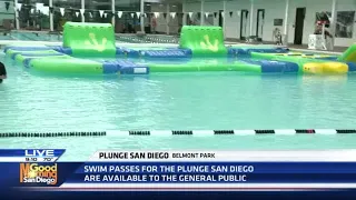 The Plunge Summer camps begin