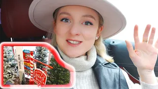 VLOG: УЕХАЛА ЗА УКРАШЕНИЯМИ ДЛЯ НОВОГО ГОДА! 22.11.21