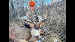 First 4 Point! 2022 Colorado 3rd Season Rifle Mule Deer Ep2