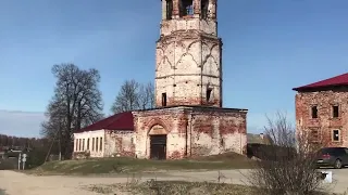 Козы пасутся. Поездка в Лежнево. Березовый сок.