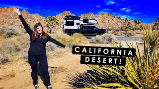 CALIFORNIA DESERT! One Day in JOSHUA TREE NATIONAL PARK | EP. 4 California Truck Camping