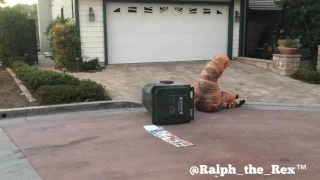 T-REX PROBLEMS: TAKING OUT THE TRASH!