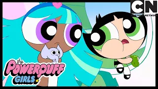 Powerpuff Girls | Bliss Joins The Powerpuff Girls | Cartoon Network