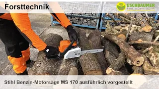 Stihl Benzin-Motorsäge MS 170 ausführlich vorgestellt und im Einsatz