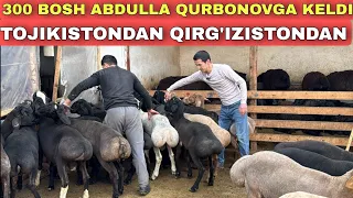 ABDULLA QURBONOV AKAMIZ QAYTDI NARXLARNI TUSHURDI