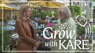 Grow with KARE: African Violets